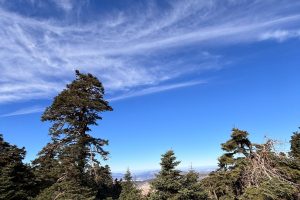 WhatsApp Image 2025-11-14 at 14.21.50 (1)